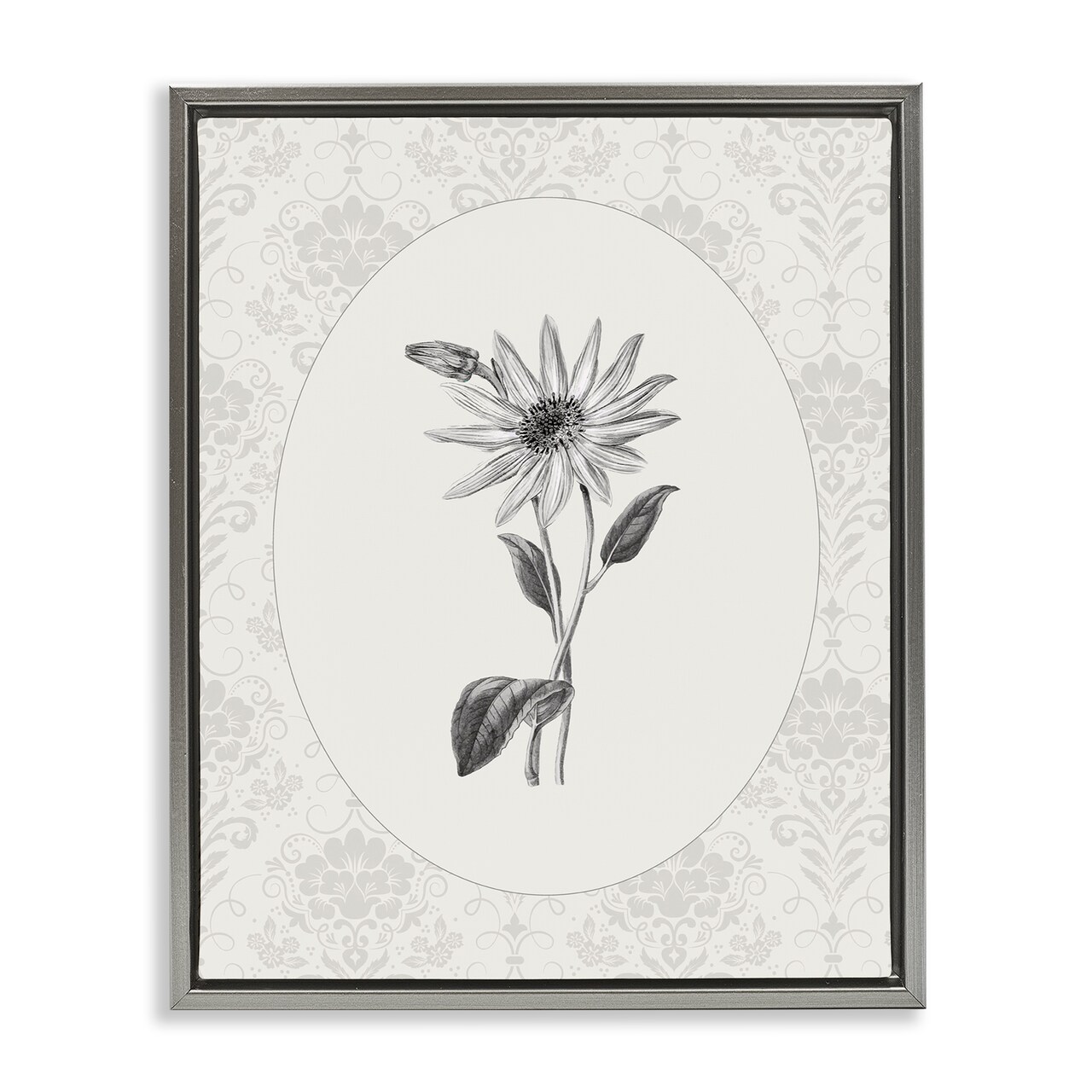 Stupell Industries Antique Botanical & Lace Floating Frame, design by CAD Designs